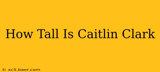 How Tall Is Caitlin Clark