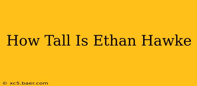 How Tall Is Ethan Hawke