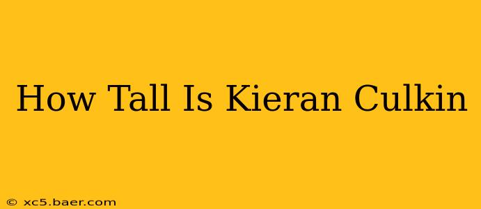 How Tall Is Kieran Culkin