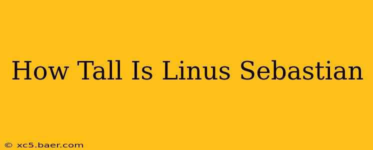 How Tall Is Linus Sebastian