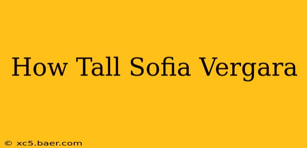 How Tall Sofia Vergara