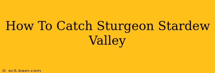 How To Catch Sturgeon Stardew Valley