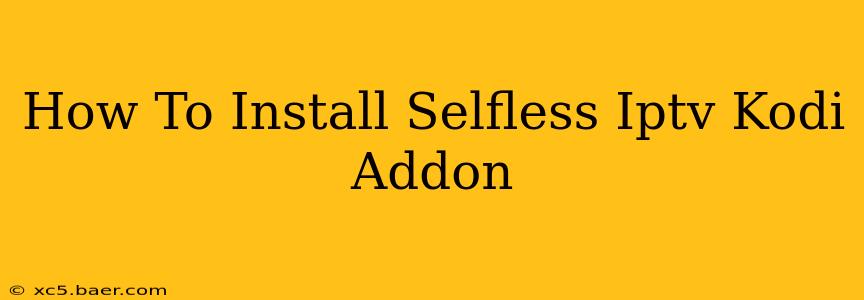 How To Install Selfless Iptv Kodi Addon