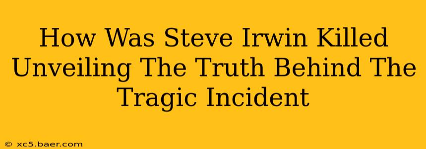 How Was Steve Irwin Killed Unveiling The Truth Behind The Tragic Incident