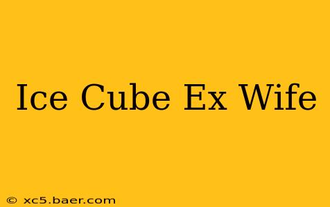 Ice Cube Ex Wife
