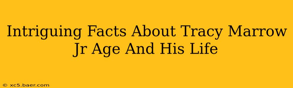 Intriguing Facts About Tracy Marrow Jr Age And His Life