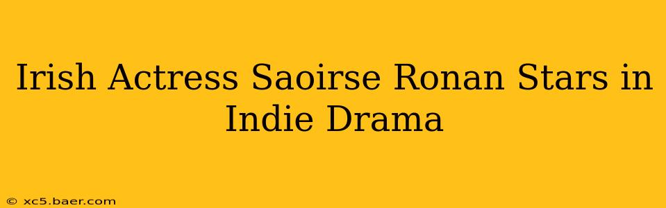 Irish Actress Saoirse Ronan Stars in Indie Drama