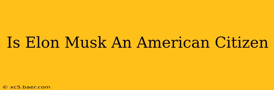 Is Elon Musk An American Citizen