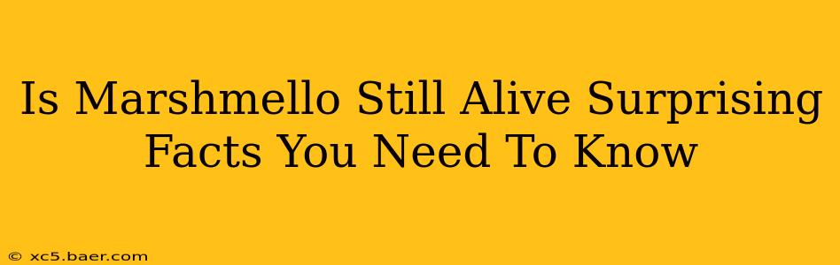 Is Marshmello Still Alive Surprising Facts You Need To Know