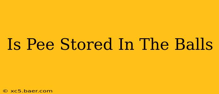 Is Pee Stored In The Balls