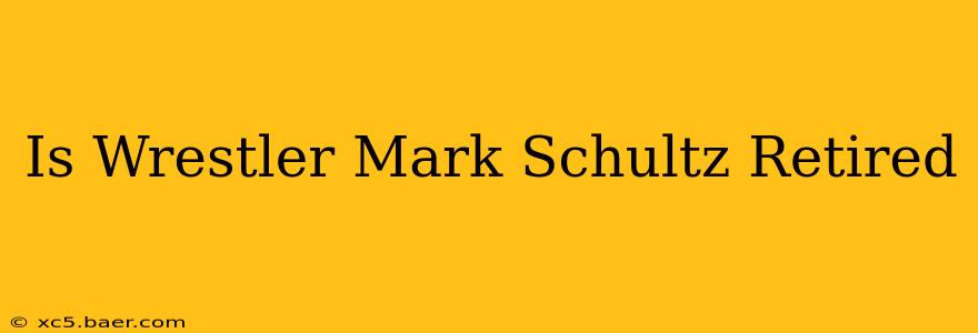 Is Wrestler Mark Schultz Retired