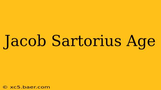 Jacob Sartorius Age