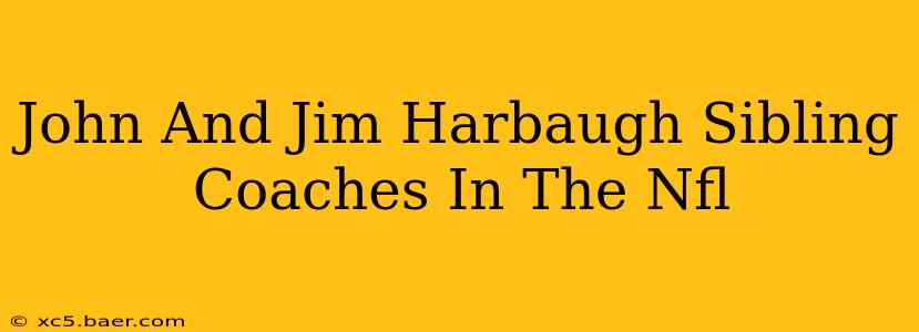 John And Jim Harbaugh Sibling Coaches In The Nfl