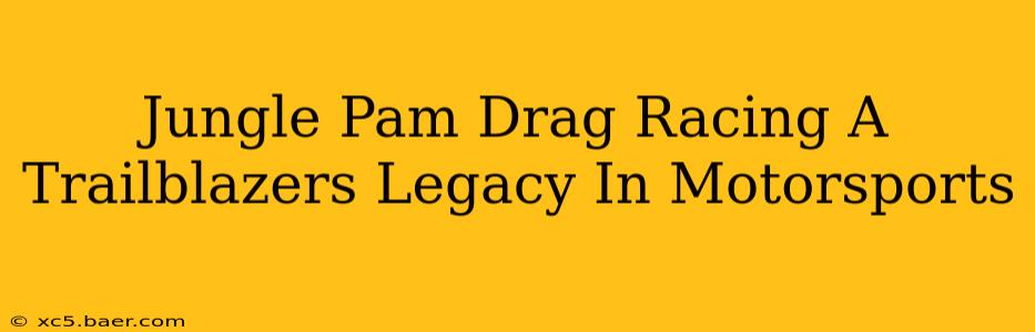 Jungle Pam Drag Racing A Trailblazers Legacy In Motorsports