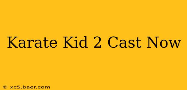 Karate Kid 2 Cast Now