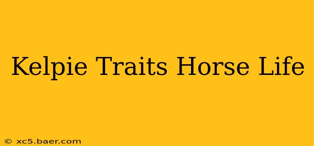 Kelpie Traits Horse Life