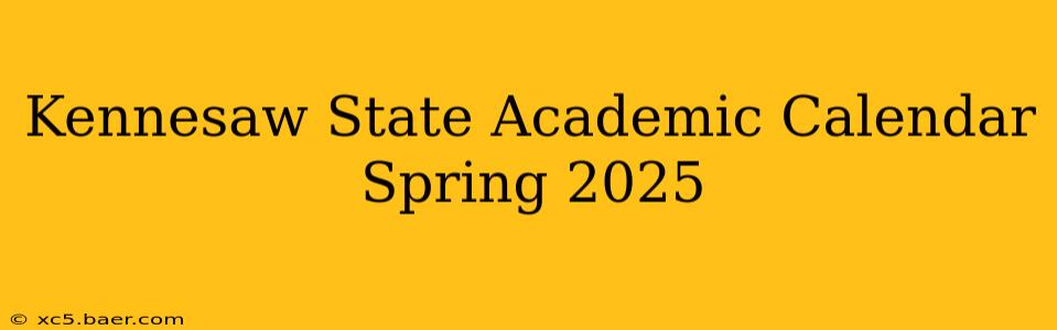 Kennesaw State Academic Calendar Spring 2025
