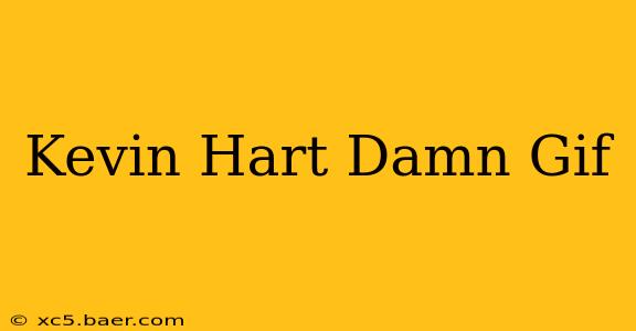 Kevin Hart Damn Gif