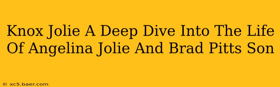 Knox Jolie A Deep Dive Into The Life Of Angelina Jolie And Brad Pitts Son