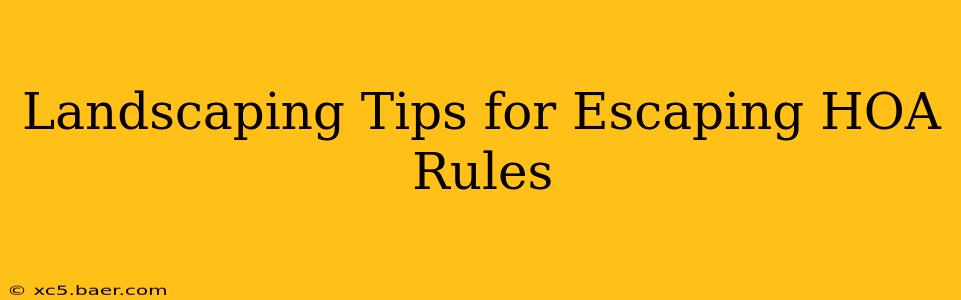 Landscaping Tips for Escaping HOA Rules