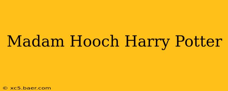 Madam Hooch Harry Potter