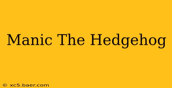 Manic The Hedgehog