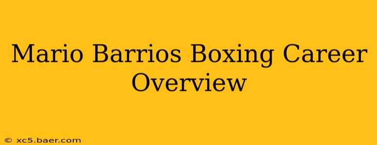 Mario Barrios Boxing Career Overview