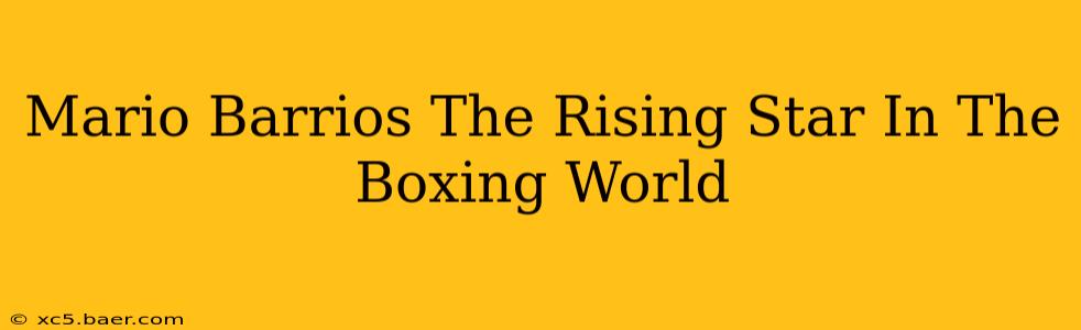 Mario Barrios The Rising Star In The Boxing World