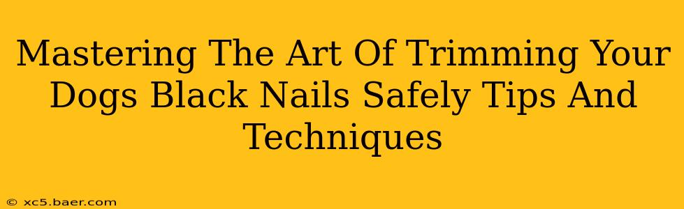 Mastering The Art Of Trimming Your Dogs Black Nails Safely Tips And Techniques