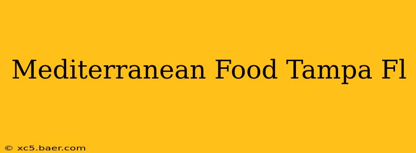 Mediterranean Food Tampa Fl