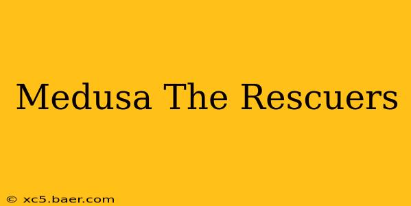 Medusa The Rescuers