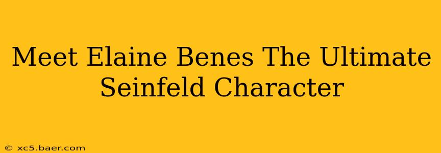 Meet Elaine Benes The Ultimate Seinfeld Character