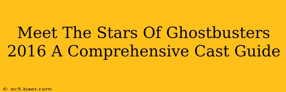 Meet The Stars Of Ghostbusters 2016 A Comprehensive Cast Guide