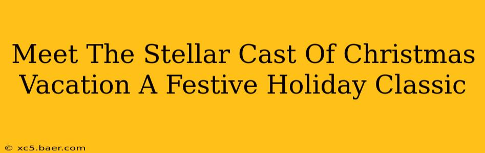 Meet The Stellar Cast Of Christmas Vacation A Festive Holiday Classic