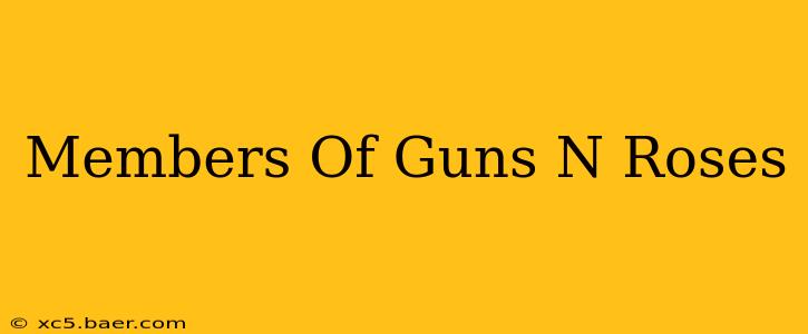 Members Of Guns N Roses