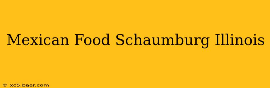 Mexican Food Schaumburg Illinois