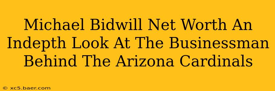 Michael Bidwill Net Worth An Indepth Look At The Businessman Behind The Arizona Cardinals