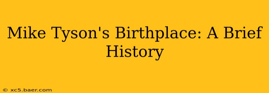 Mike Tyson's Birthplace: A Brief History