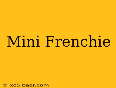 Mini Frenchie