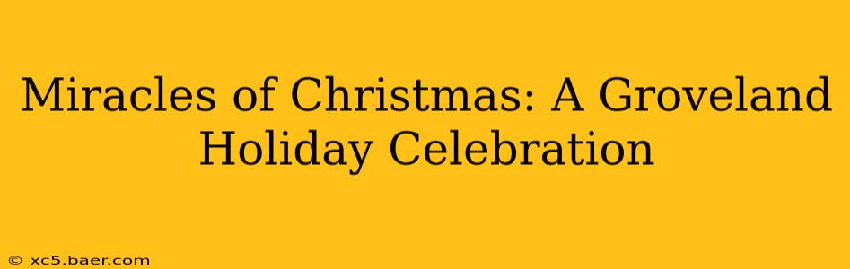Miracles of Christmas: A Groveland Holiday Celebration