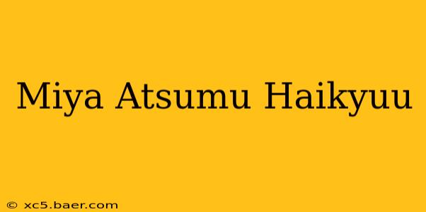 Miya Atsumu Haikyuu