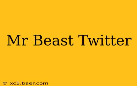 Mr Beast Twitter