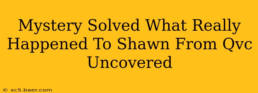 Mystery Solved What Really Happened To Shawn From Qvc Uncovered