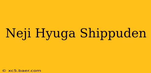 Neji Hyuga Shippuden