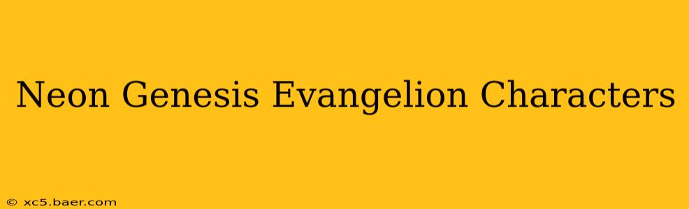Neon Genesis Evangelion Characters