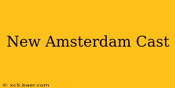 New Amsterdam Cast