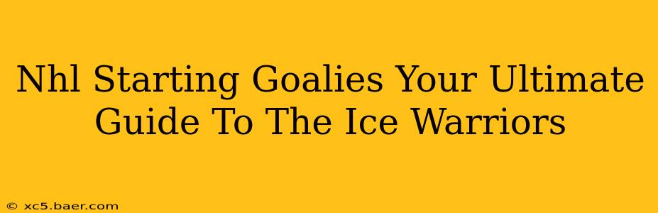 Nhl Starting Goalies Your Ultimate Guide To The Ice Warriors