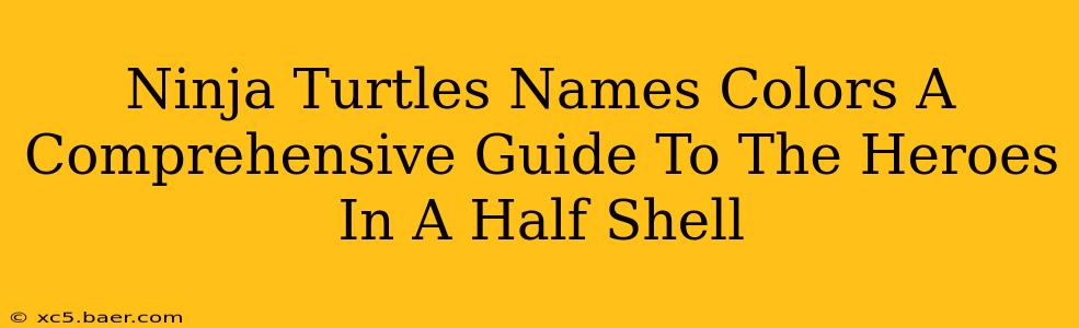 Ninja Turtles Names Colors A Comprehensive Guide To The Heroes In A Half Shell