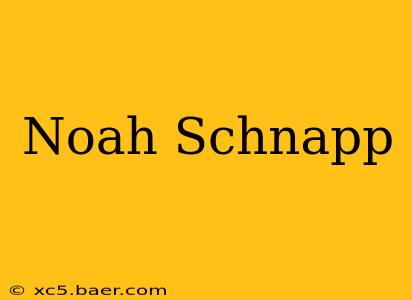 Noah Schnapp