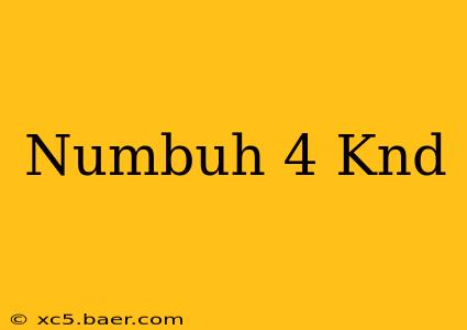 Numbuh 4 Knd